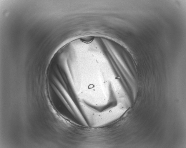 X0000064751534200602241816