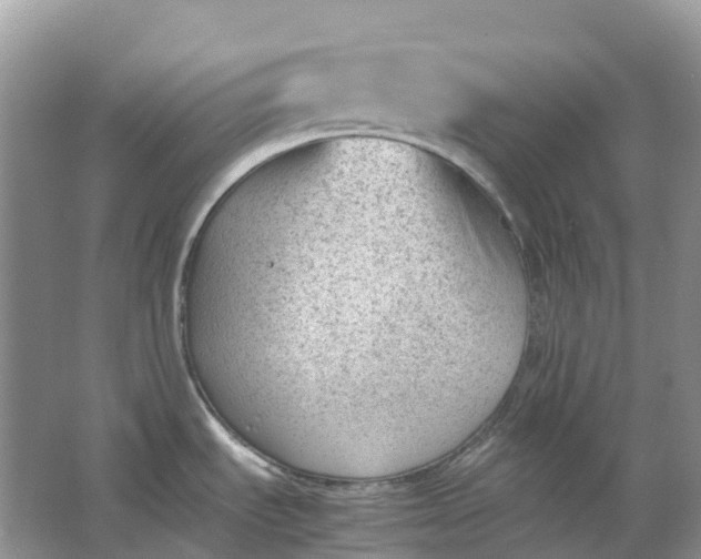 X0000064751535200602241816