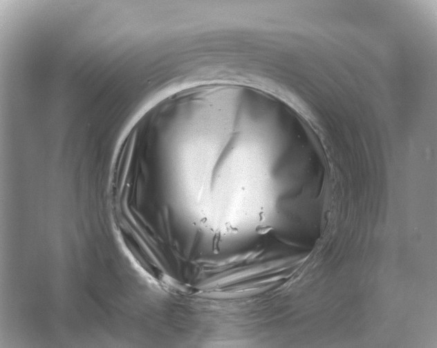 X0000064751536200602241816