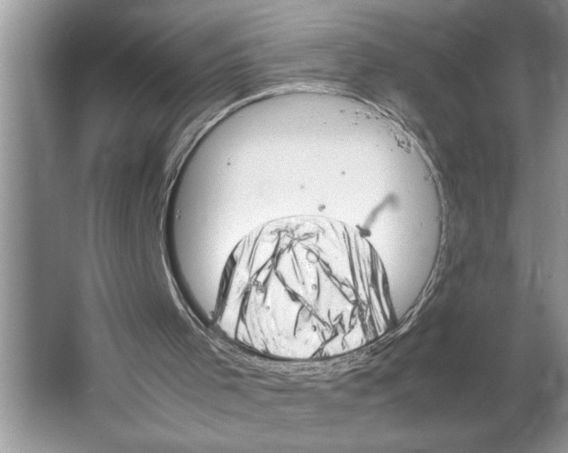 X0000064750001200603031745