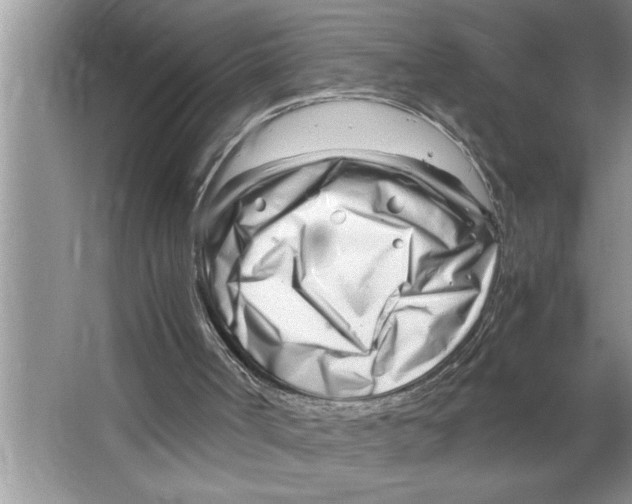 X0000064750002200603031745