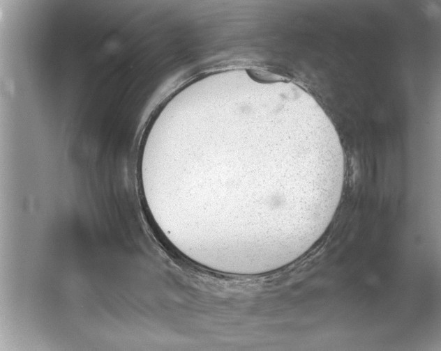 X0000064750004200603031745