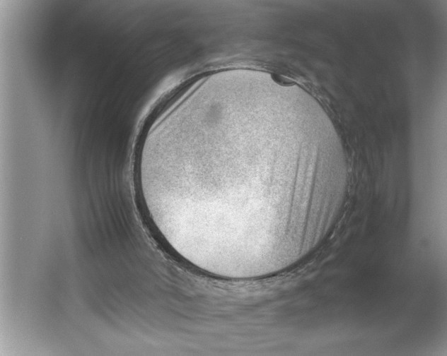 X0000064750006200603031745