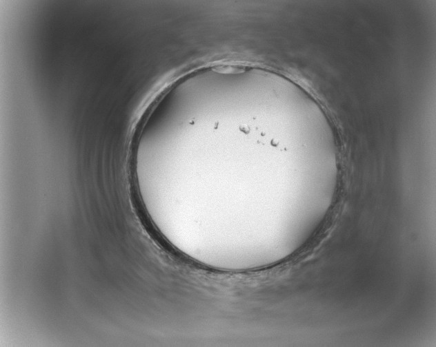 X0000064750007200603031745