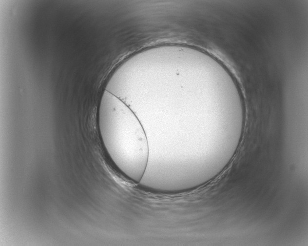 X0000064750009200603031745