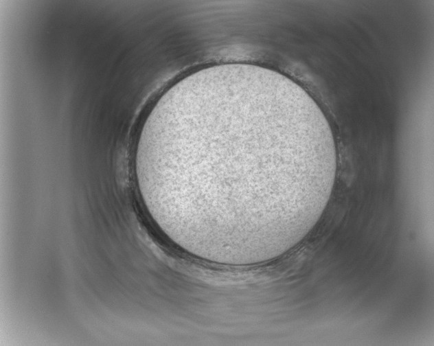 X0000064750012200603031745