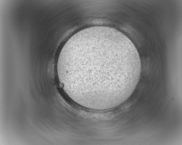 X0000064750016200603031745