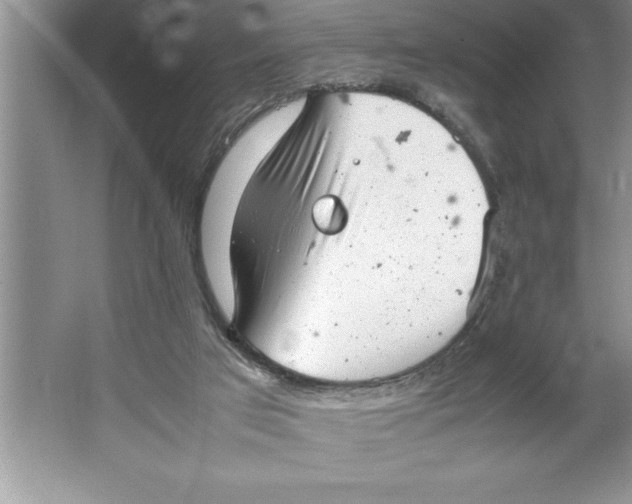 X0000064750017200603031745