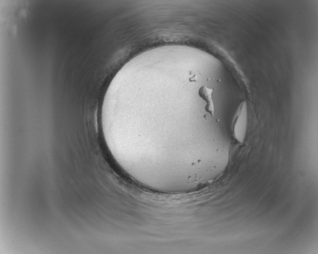 X0000064750019200603031745