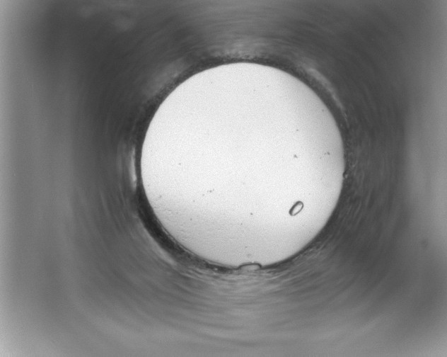 X0000064750020200603031745