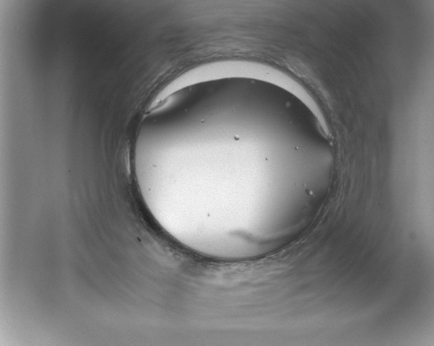 X0000064750021200603031745