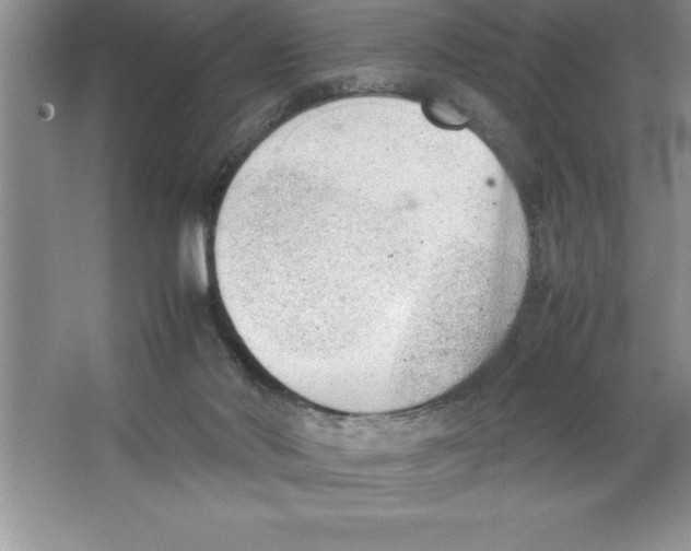 X0000064750022200603031745