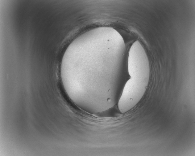 X0000064750023200603031745