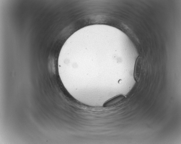 X0000064750026200603031745