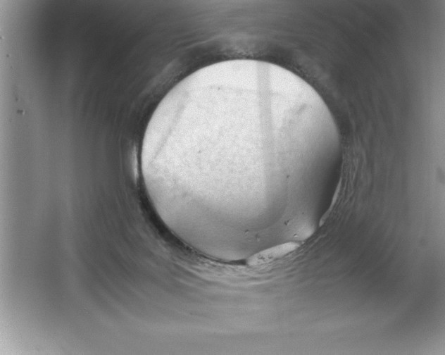 X0000064750027200603031745