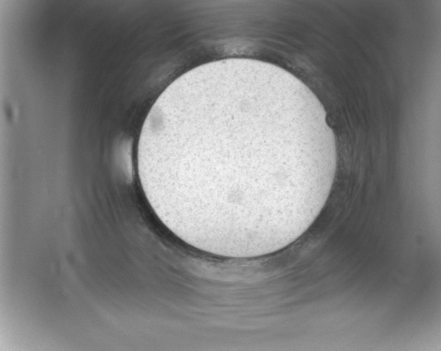 X0000064750028200603031745