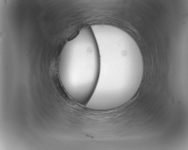 X0000064750029200603031745