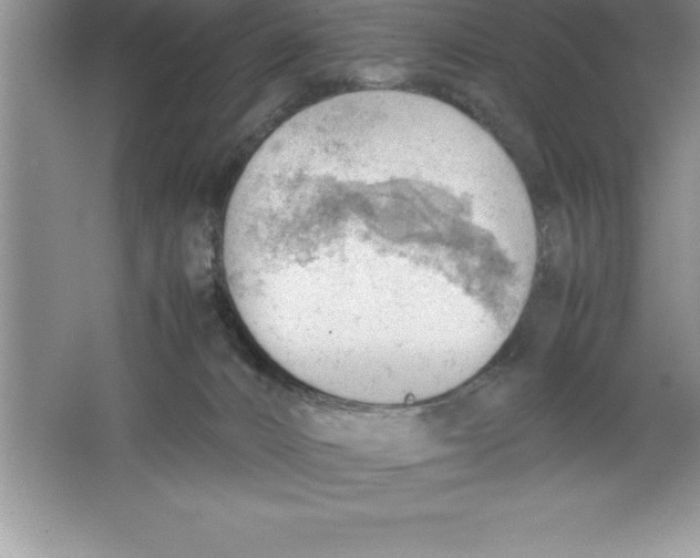 X0000064750032200603031745