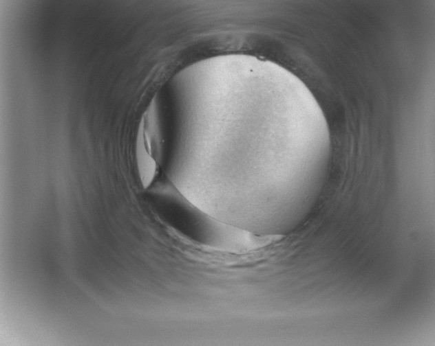 X0000064750035200603031745