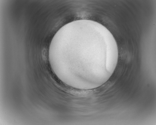 X0000064750036200603031745