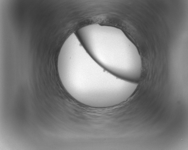 X0000064750037200603031745