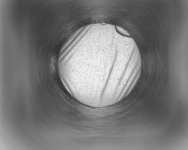 X0000064750038200603031745