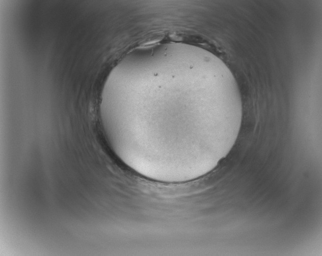 X0000064750039200603031745