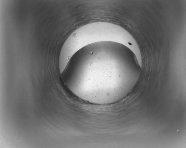 X0000064750040200603031745