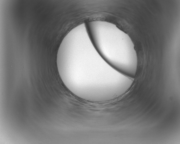 X0000064750041200603031745