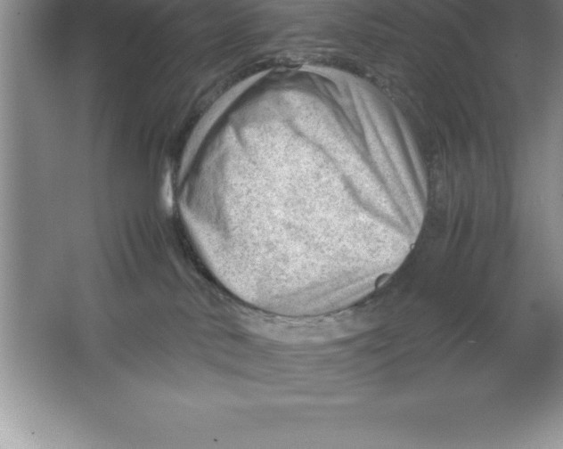 X0000064750042200603031745