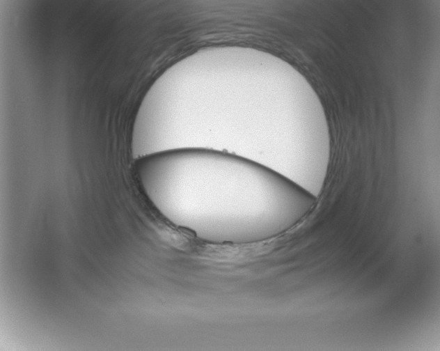 X0000064750045200603031745