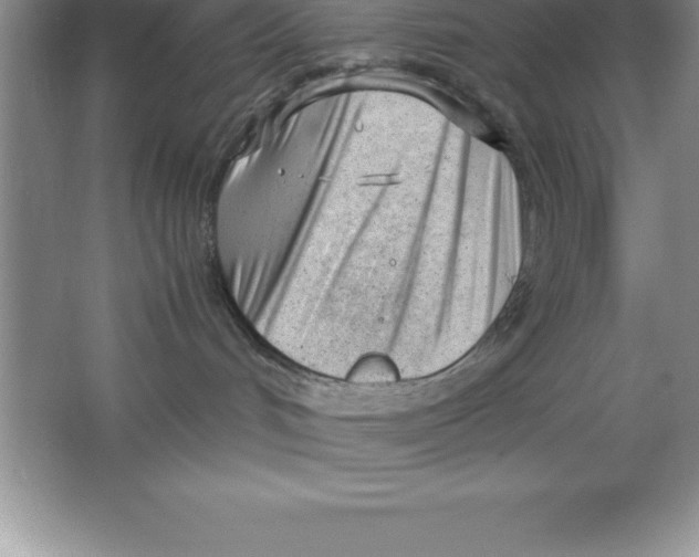 X0000064750048200603031745