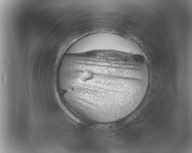 X0000064750049200603031744