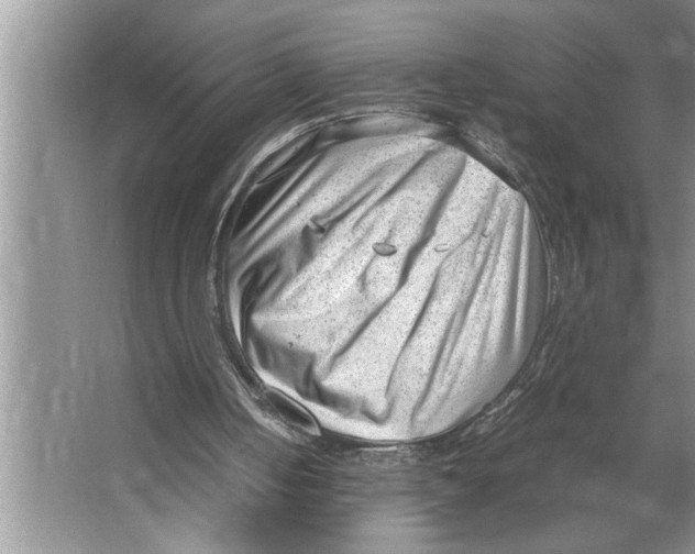 X0000064750050200603031744