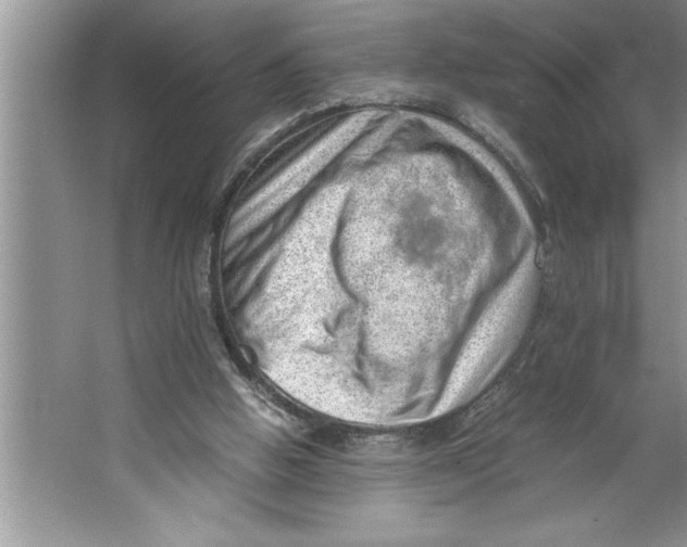 X0000064750058200603031744