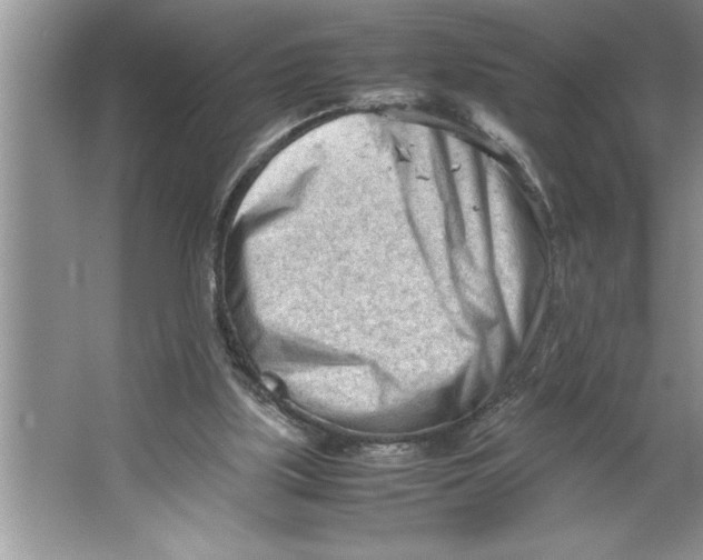 X0000064750059200603031744