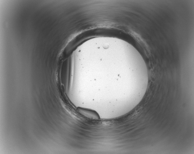 X0000064750060200603031744