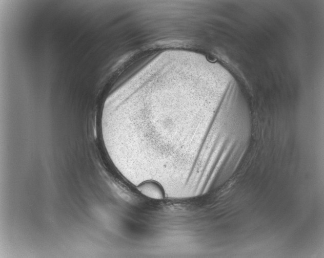 X0000064750062200603031744