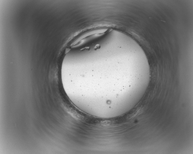 X0000064750064200603031744