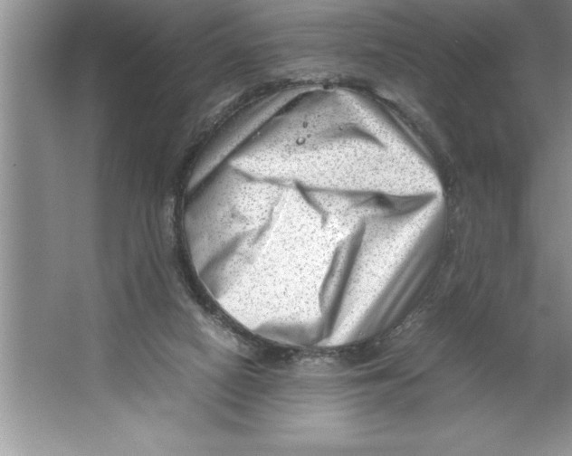 X0000064750066200603031744