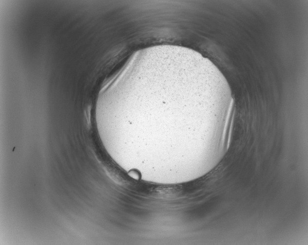 X0000064750070200603031744