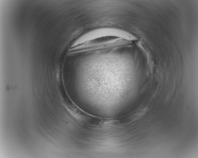 X0000064750072200603031744