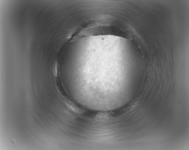 X0000064750076200603031744