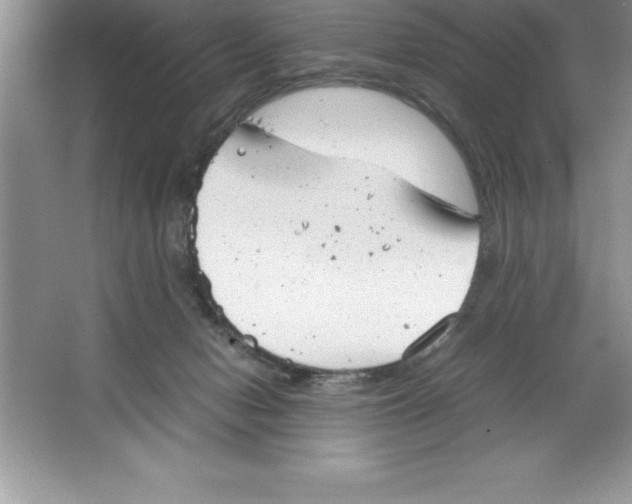 X0000064750078200603031744