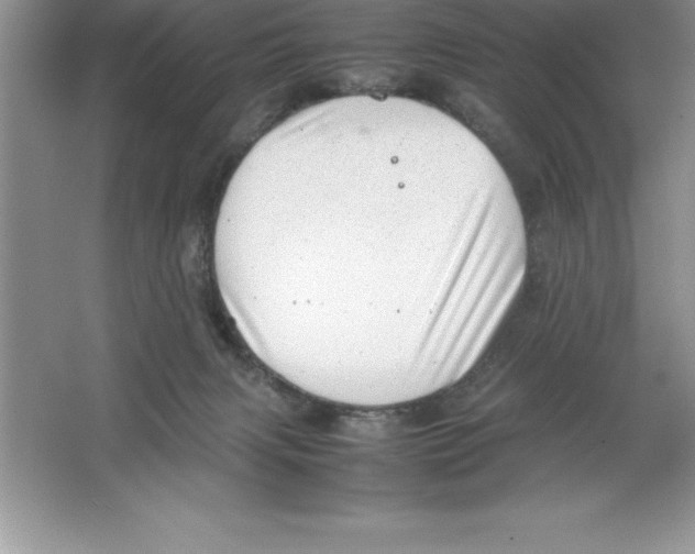 X0000064750079200603031744