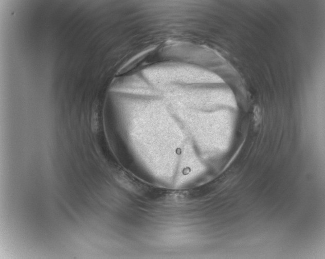 X0000064750080200603031744