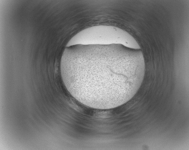 X0000064750081200603031744