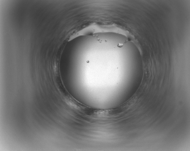 X0000064750084200603031744