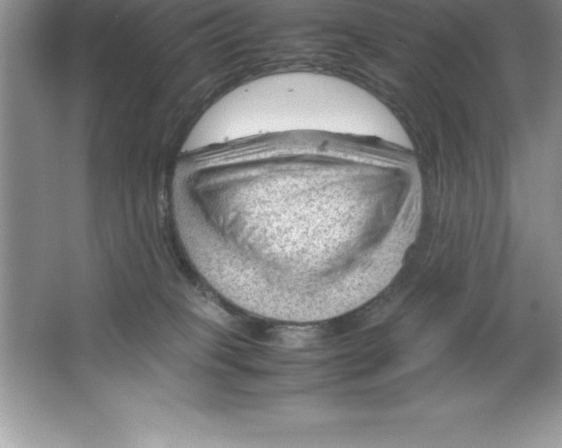 X0000064750085200603031744