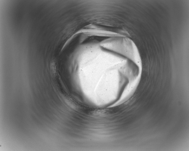 X0000064750086200603031744